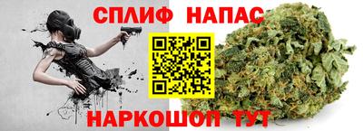 тгк Шебекино