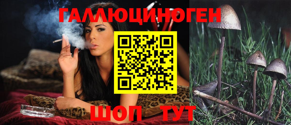 Галлюциногенные грибы GOLDEN TEACHER Минусинск